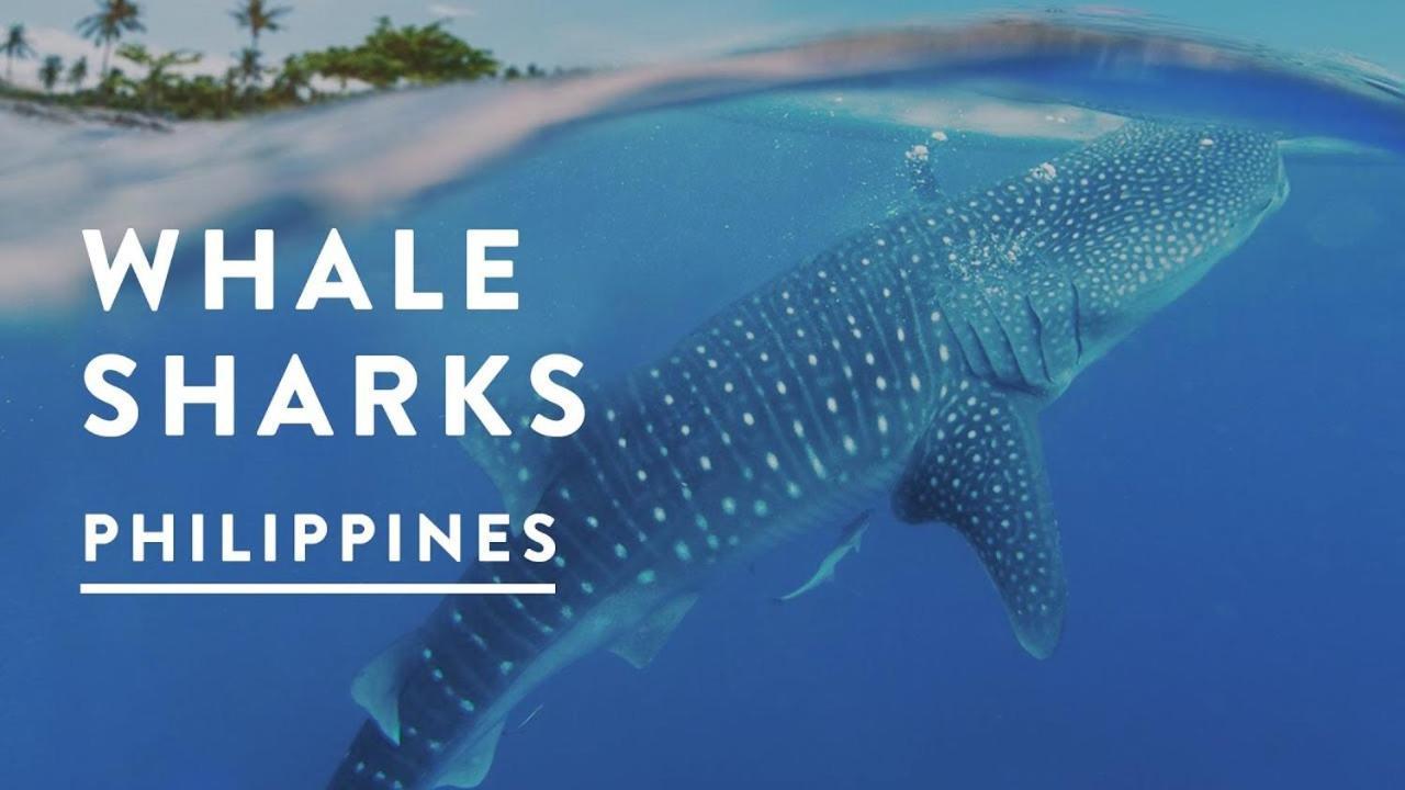 Saekyung Village One Lapu-Lapu City Esterno foto